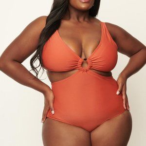 Rust Orange Fresh Cut Retro Vintage One Piece Swimsuit by Unique Vintage